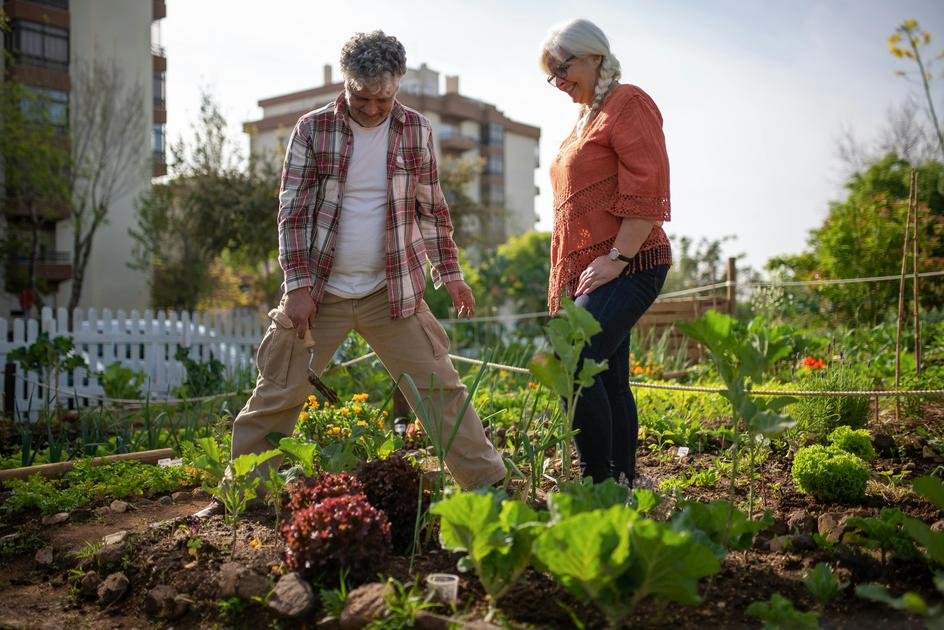 Hortas urbanas: cultive seus próprios alimentos